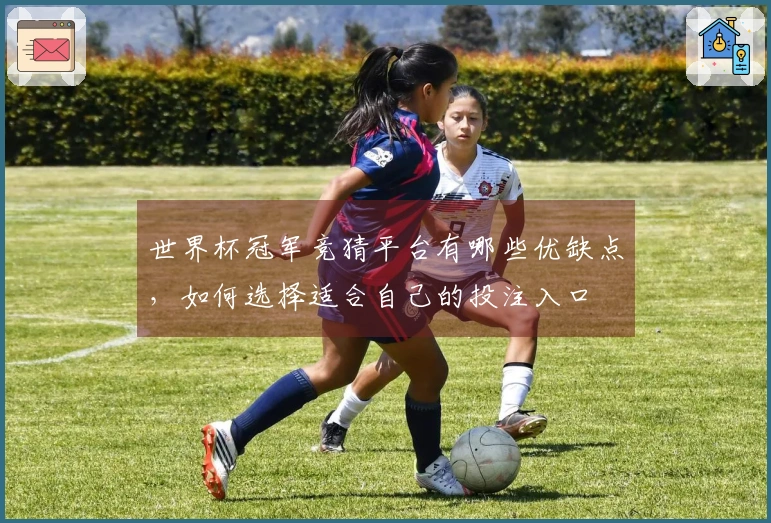 世界杯冠军竞猜平台有哪些优缺点，如何选择适合自己的投注入口