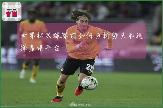 世界杯买球赛前如何分析势头和选择靠谱平台-