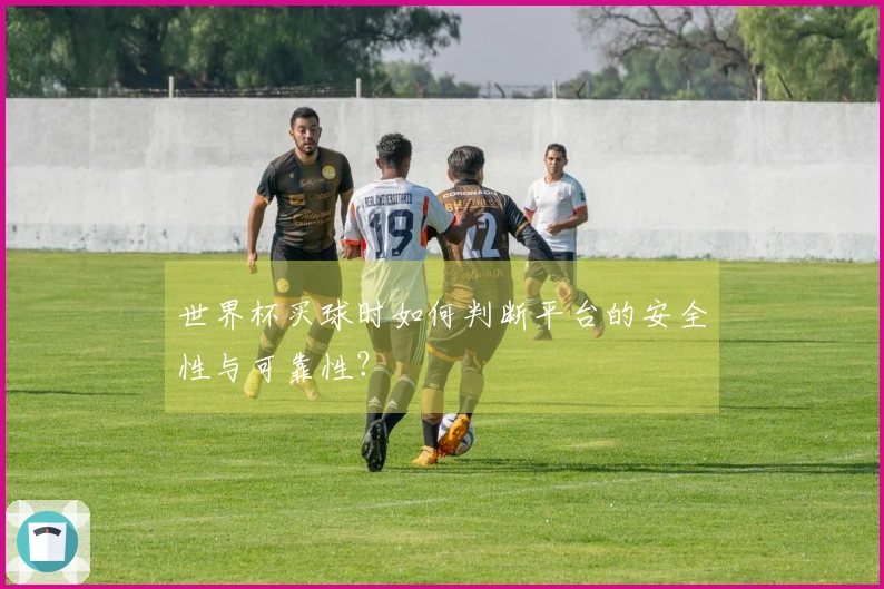 世界杯买球时如何判断平台的安全性与可靠性？