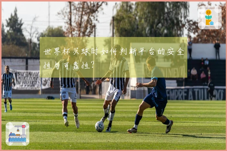 世界杯买球时如何判断平台的安全性与可靠性？