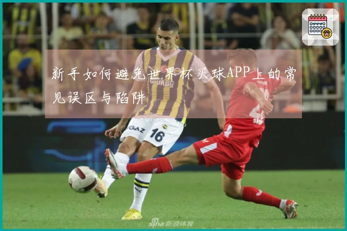 新手如何避免世界杯买球APP上的常见误区与陷阱